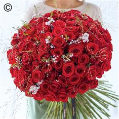 Lavish 101 Valentine&#39;s Red Rose Hand-tied