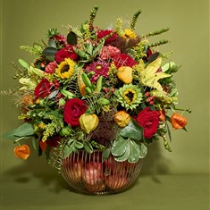Autumn Burst